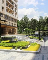 عکس شعبه سعادت آباد قالیشویی حریر تهران